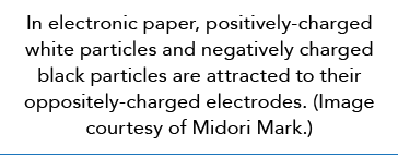 In electronic paper, positively-charged white particles and negatively charged black particles are attracted to their...